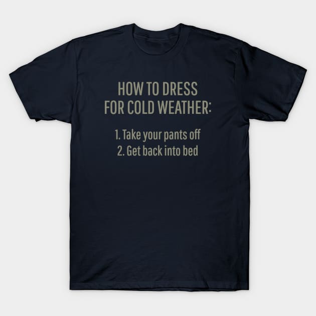 How To Dress For Cold Weather T-Shirt by DubyaTee